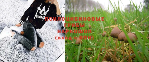 не бодяженный Аркадак