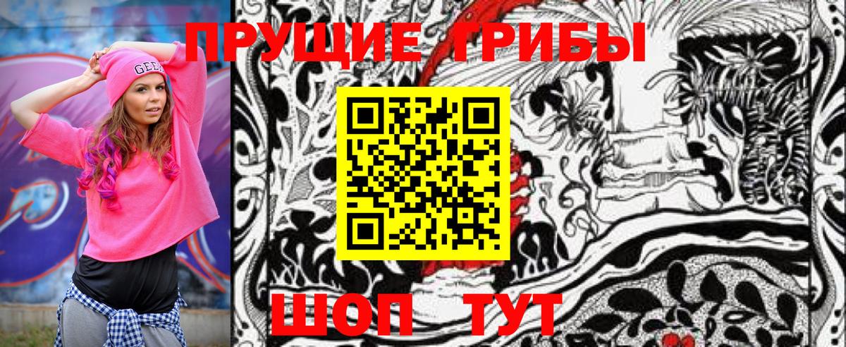 Галлюциногенные грибы Psilocybine cubensis  Вход с VPN  Кинель 