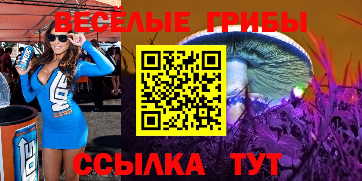 Галлюциногенные грибы Cubensis Кинель