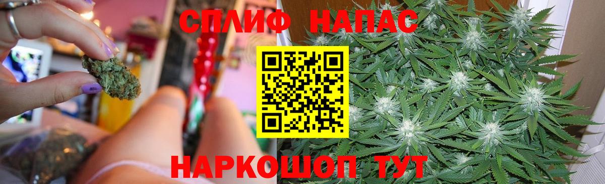 Галлюциногенные грибы Кинель